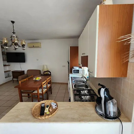Apartament Casa Palmare *
